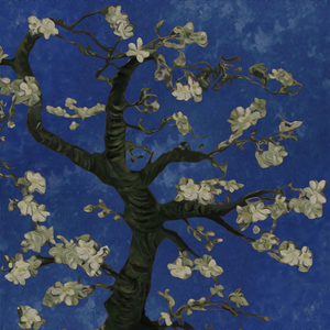 玩男中初学生J8
